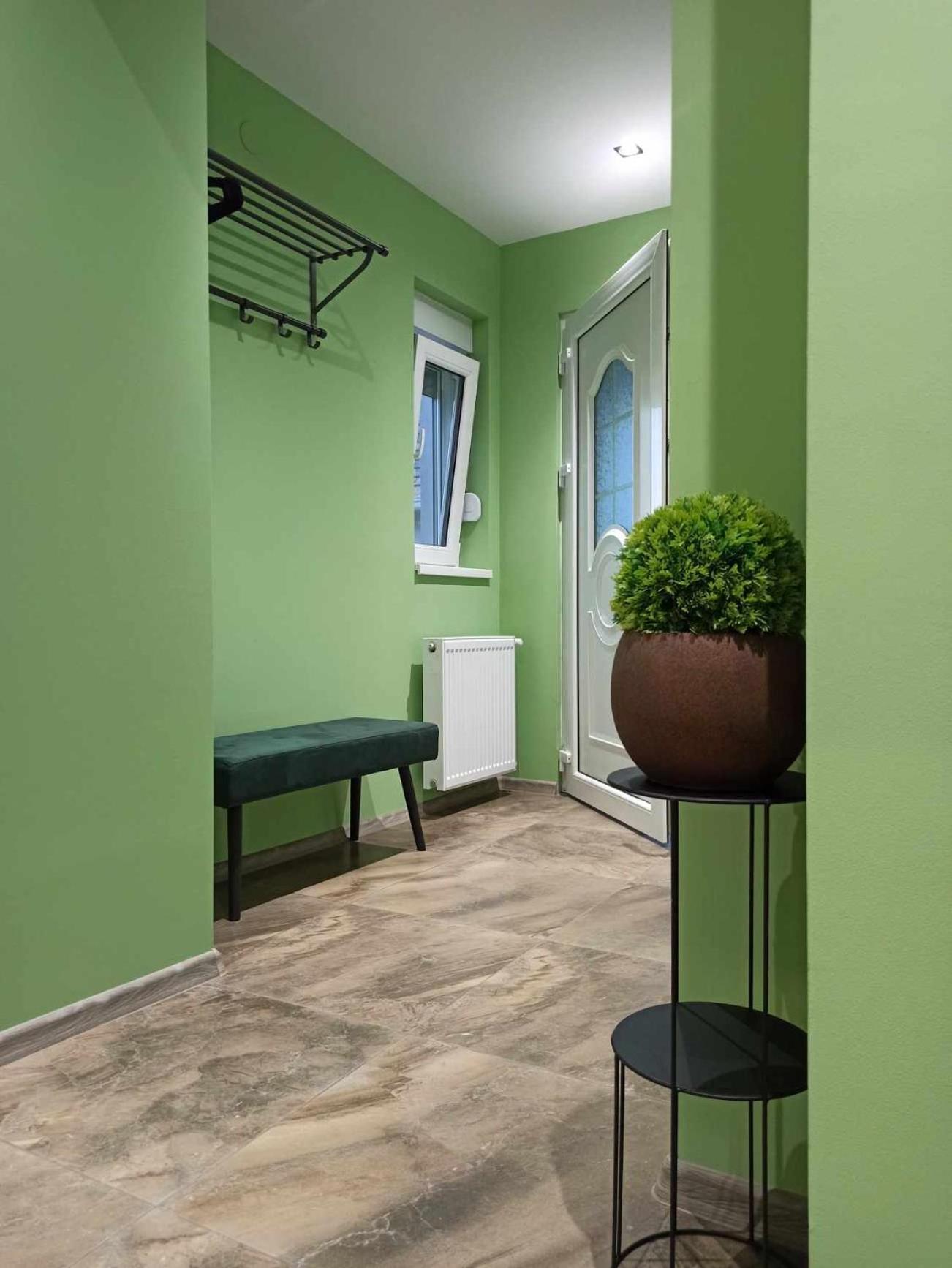 Apartmán Dream House Vrsac Exteriér fotografie